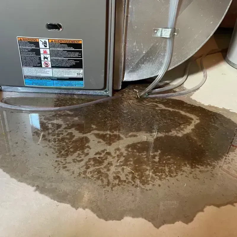 Appliance Leak Cleanup in Mount Vernon, GA